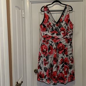 Fashion Bug Black White Pink Dress